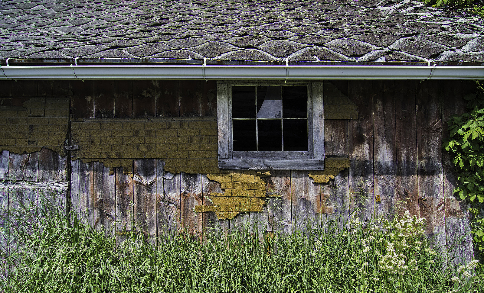 Canon EOS 7D Mark II sample photo. Window photography