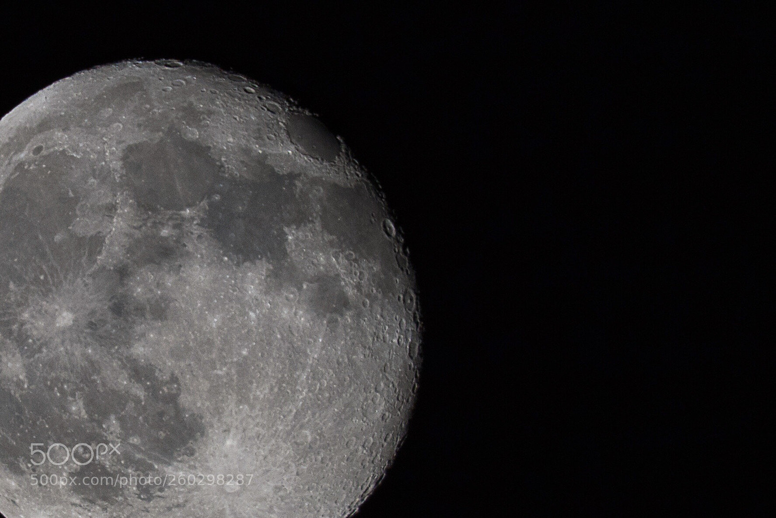 Canon EOS 7D Mark II sample photo. Untitled photography
