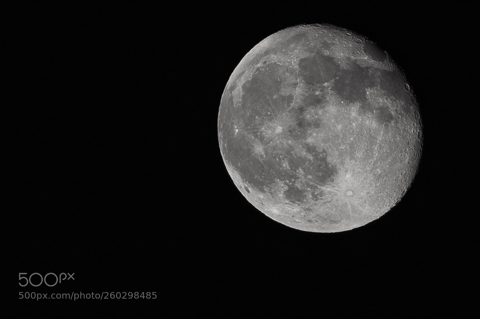 Canon EOS 7D Mark II sample photo. Untitled photography