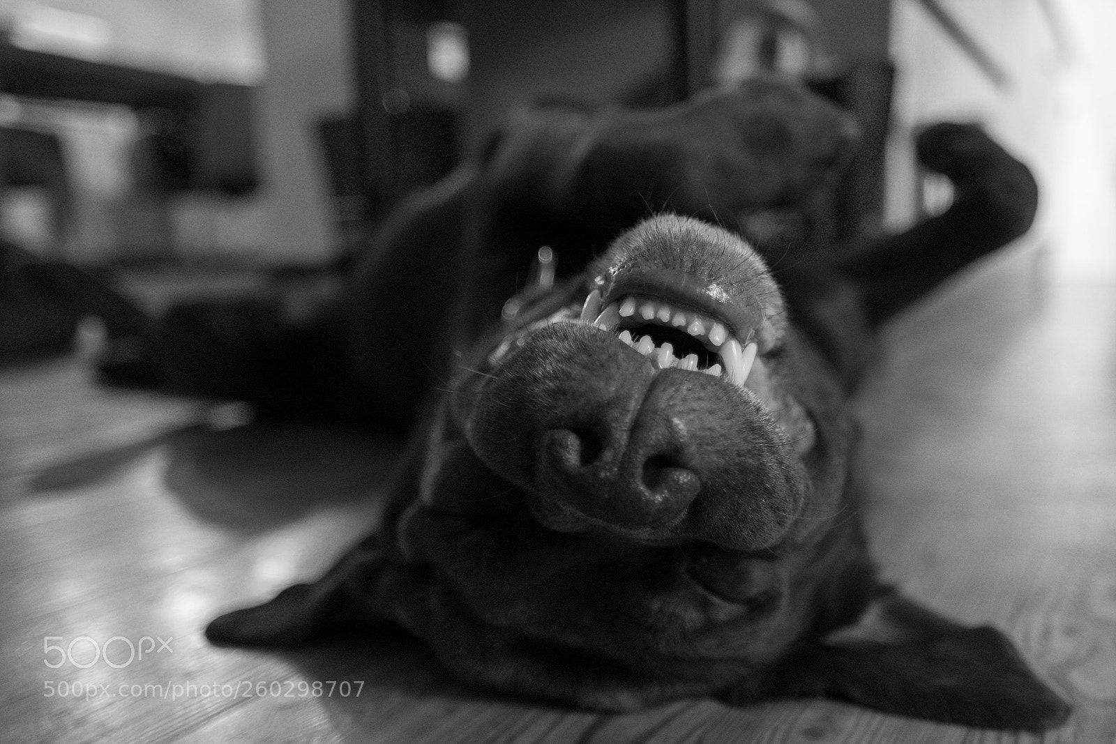Fujifilm X-T2 sample photo. Let me sleep human photography