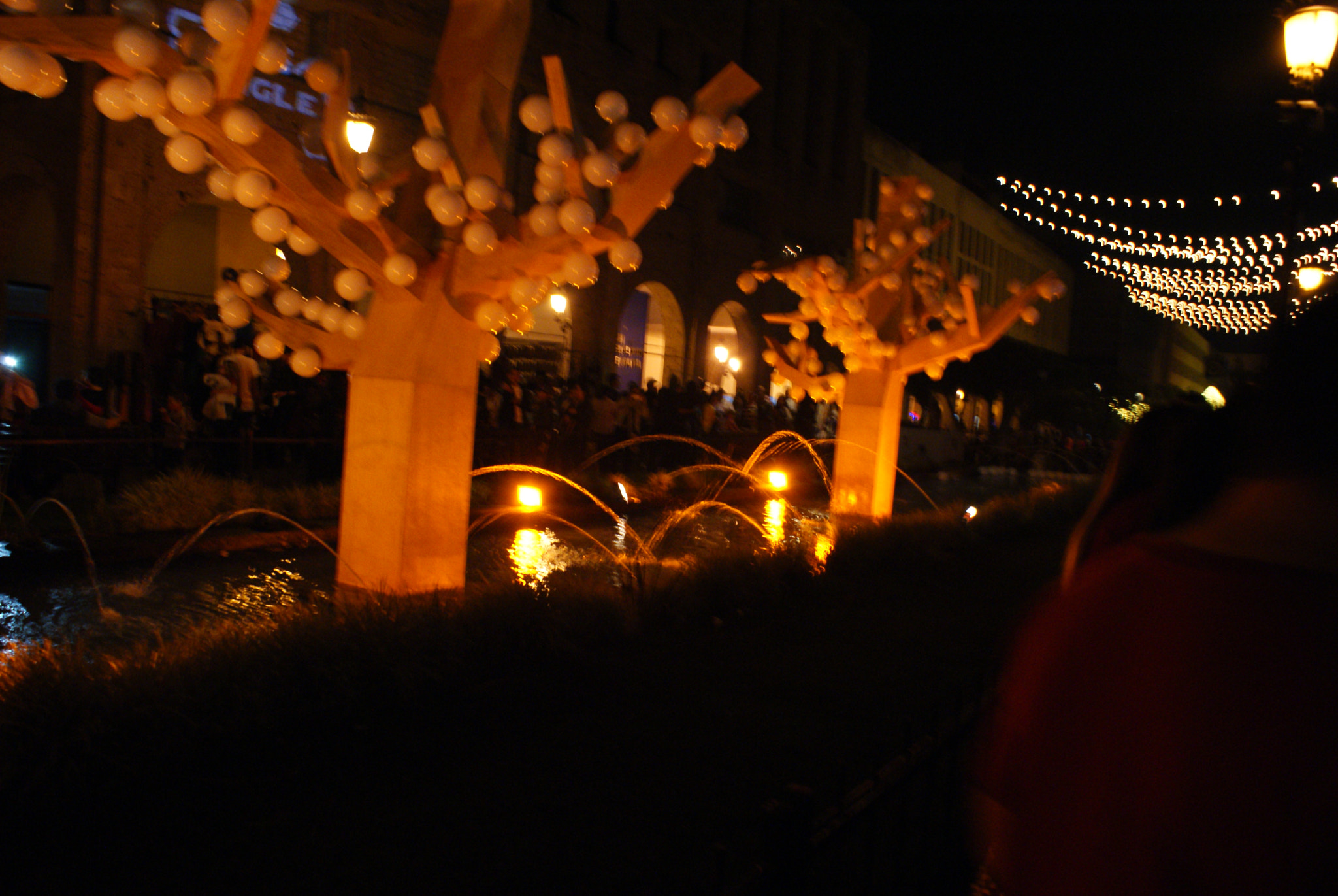 Sony DT 18-70mm F3.5-5.6 sample photo. Arbolito photography