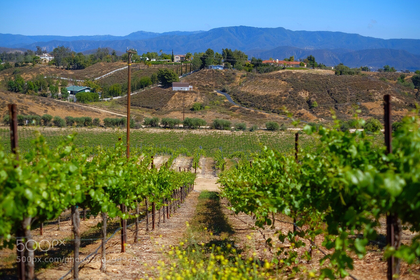 Fujifilm X-T2 sample photo. Temecula  photography