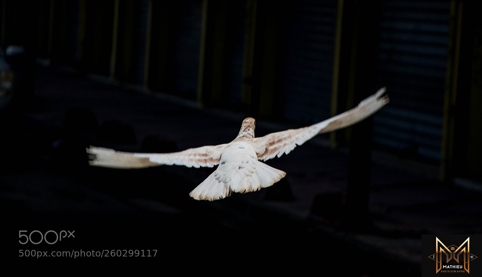 Nikon D750 sample photo. Ac dcab da photography