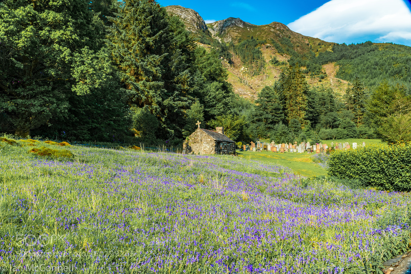 Nikon D850 sample photo. St johns glencoe photography