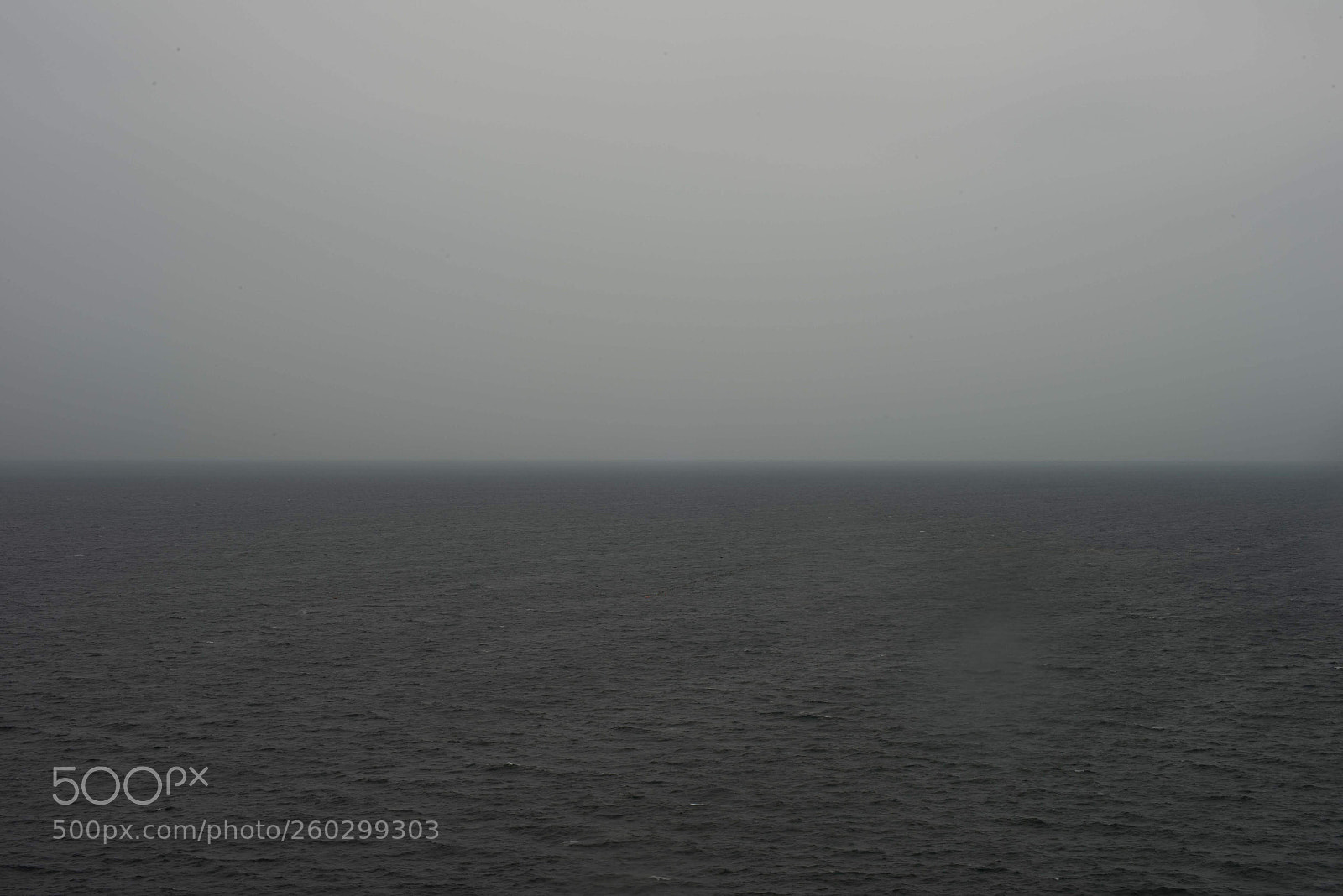 Nikon D800 sample photo. No all photography