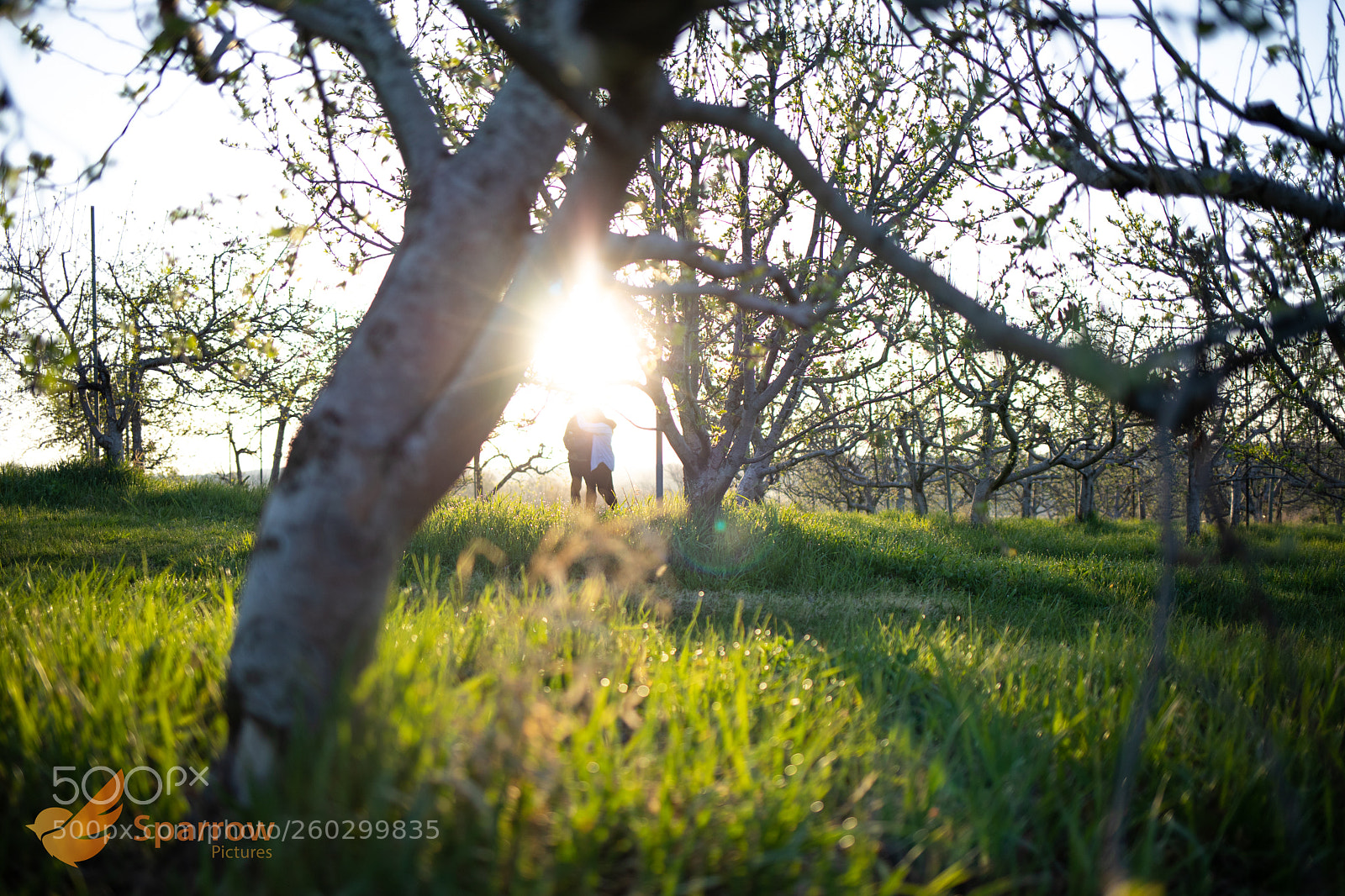 Canon EOS 5D Mark IV sample photo. Untitled photography