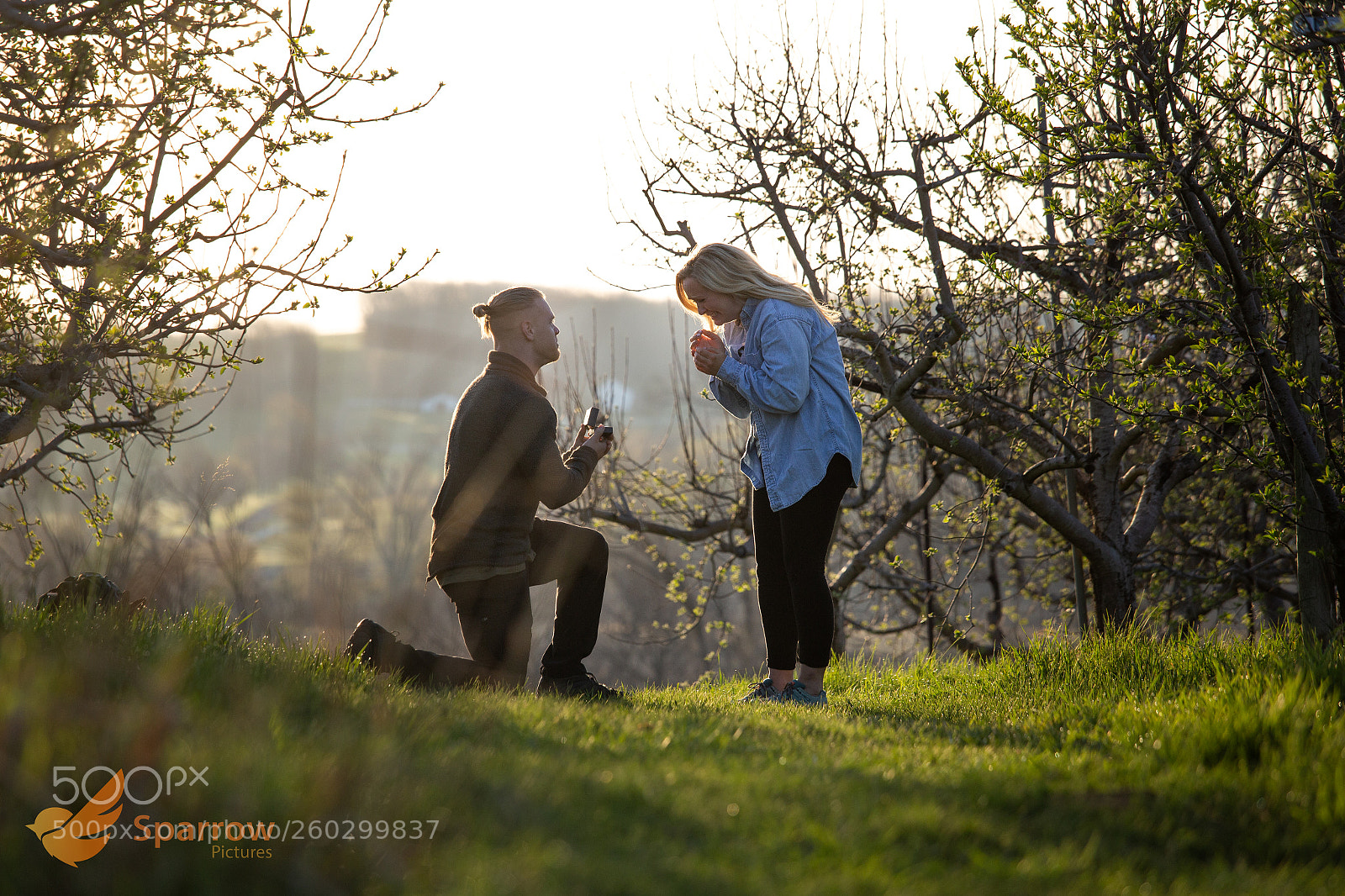 Canon EOS 6D sample photo. Untitled photography