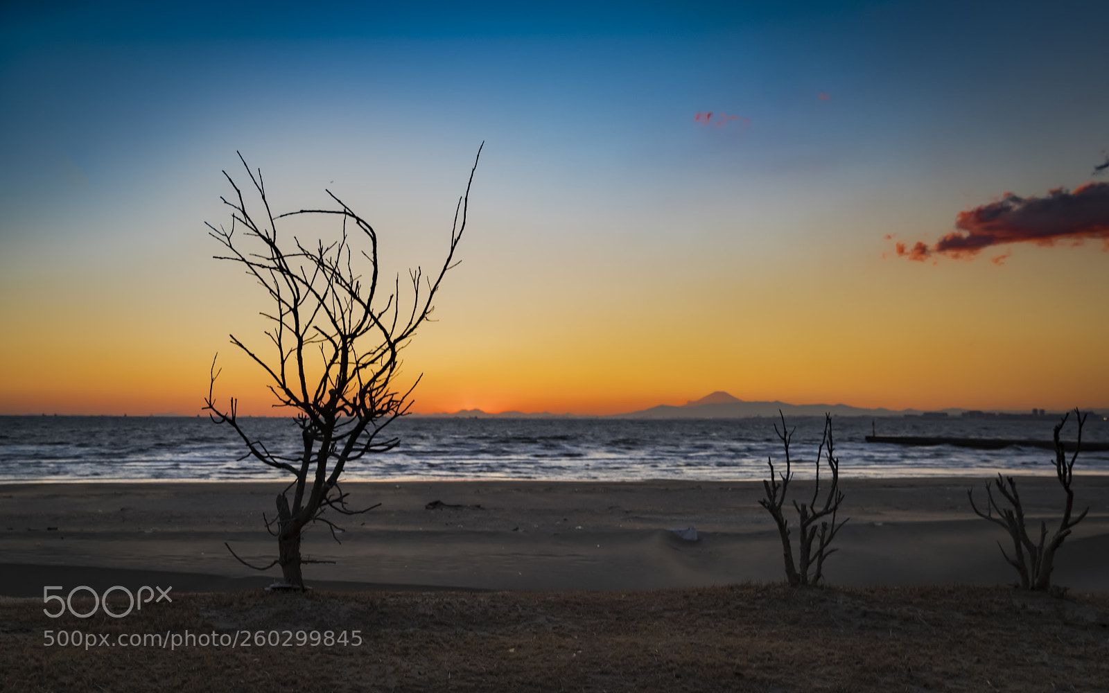 Sony a7R III sample photo. View from the beach photography