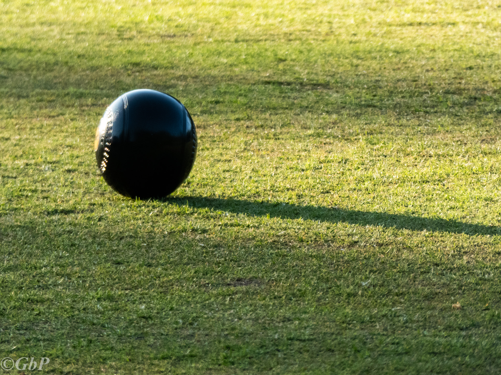 Panasonic Lumix DMC-ZS60 (Lumix DMC-TZ80) sample photo. Crown green bowl photography
