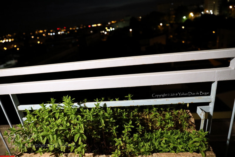 Canon EF 24-70mm F2.8L II USM sample photo. Na photography