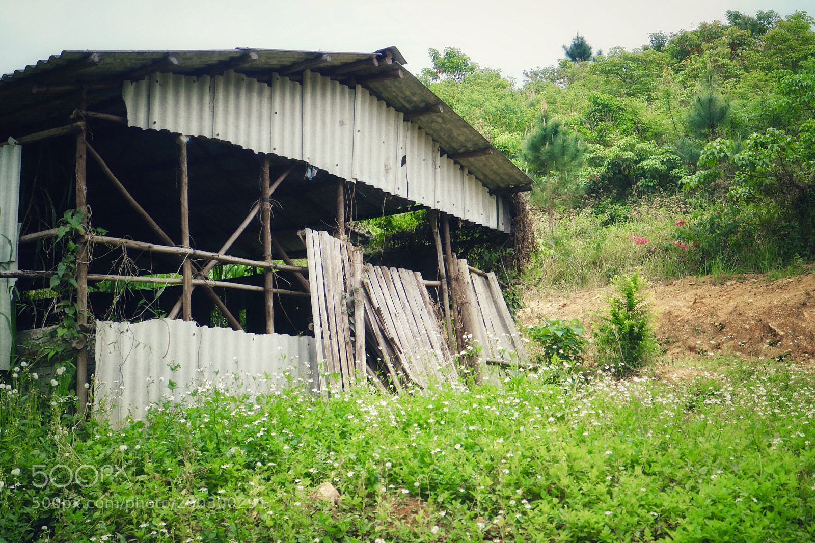 Canon EOS M3 sample photo. Untitled photography