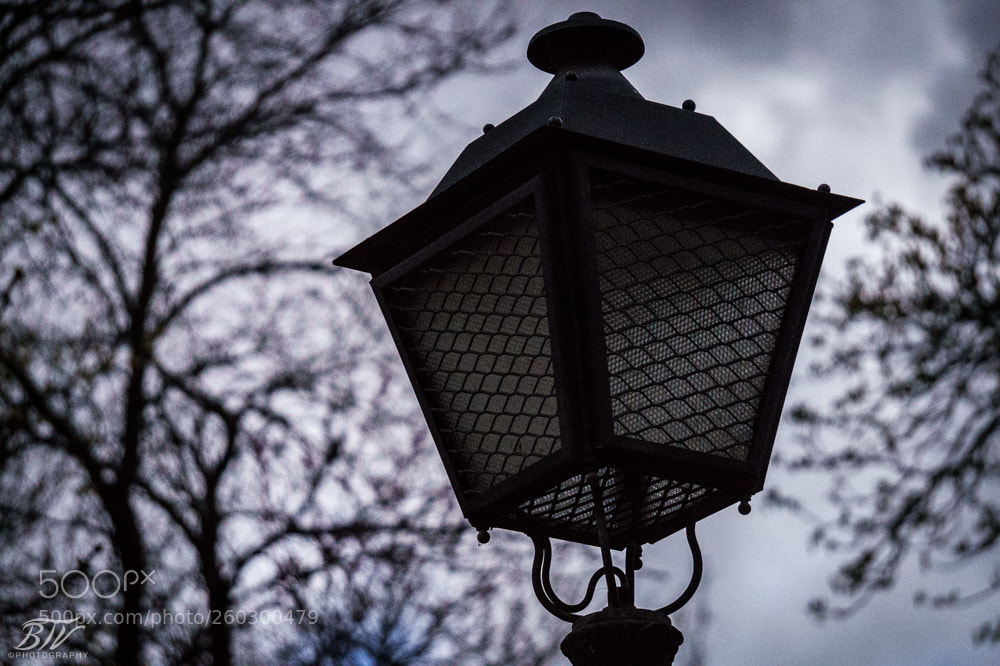 Sony Alpha a5000 (ILCE 5000) sample photo. Untitled photography