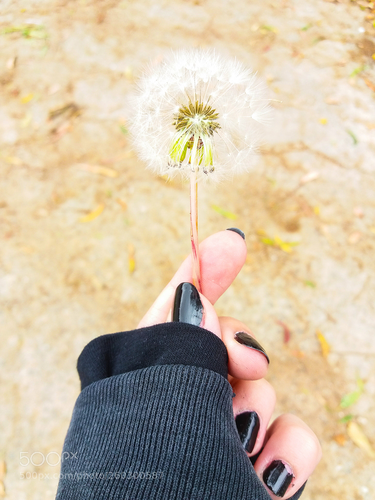 Samsung Galaxy J5 sample photo. Make a wish photography