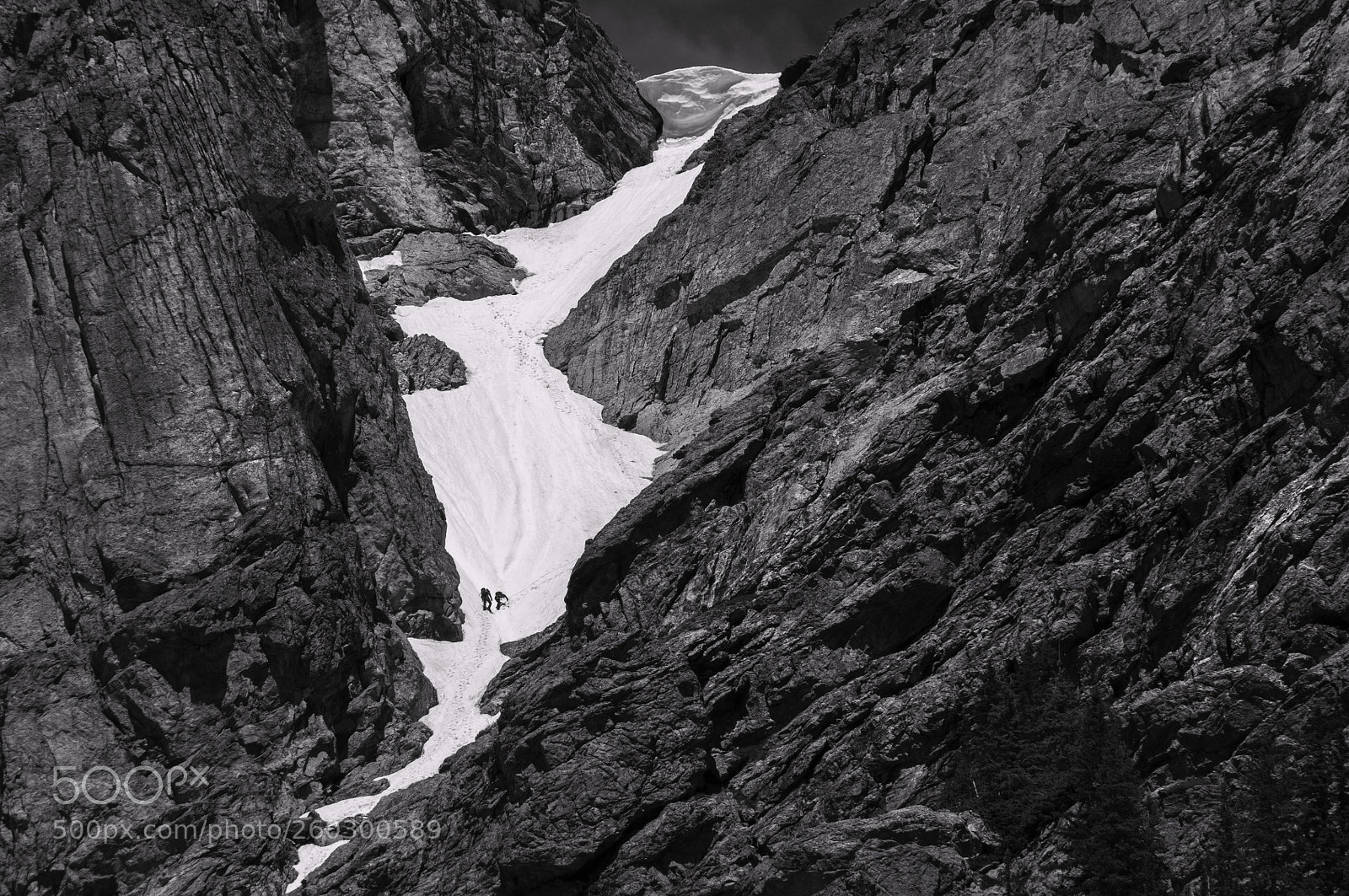 Nikon D300 sample photo. 12000 feet photography