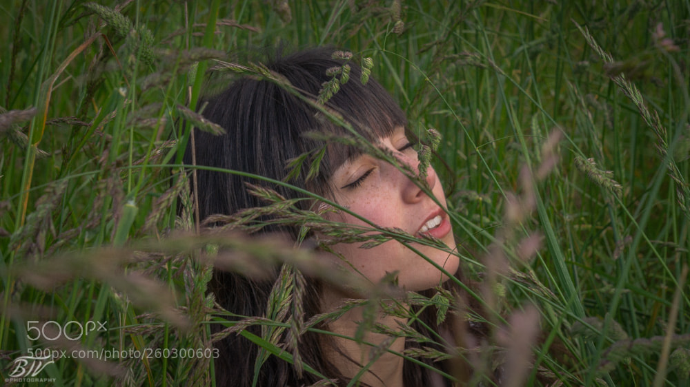Sony Alpha a5000 (ILCE 5000) sample photo. Untitled photography