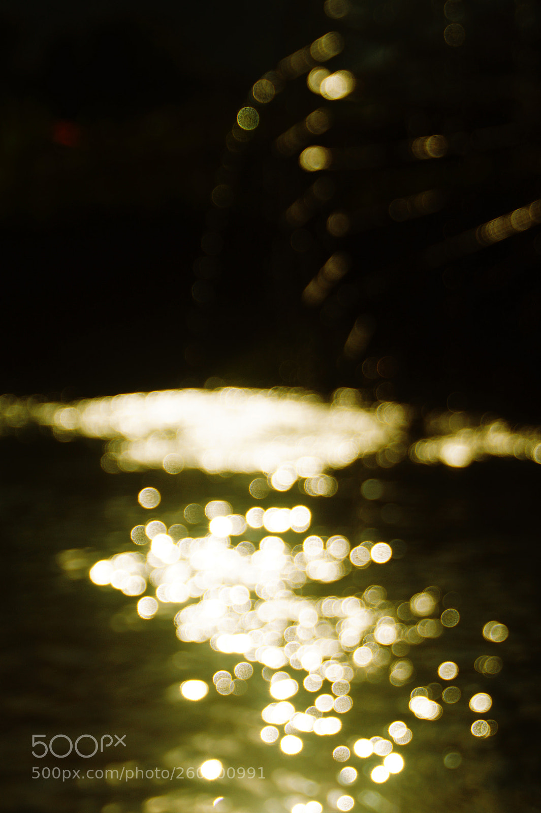 Sony SLT-A58 sample photo. Feeling with water photography