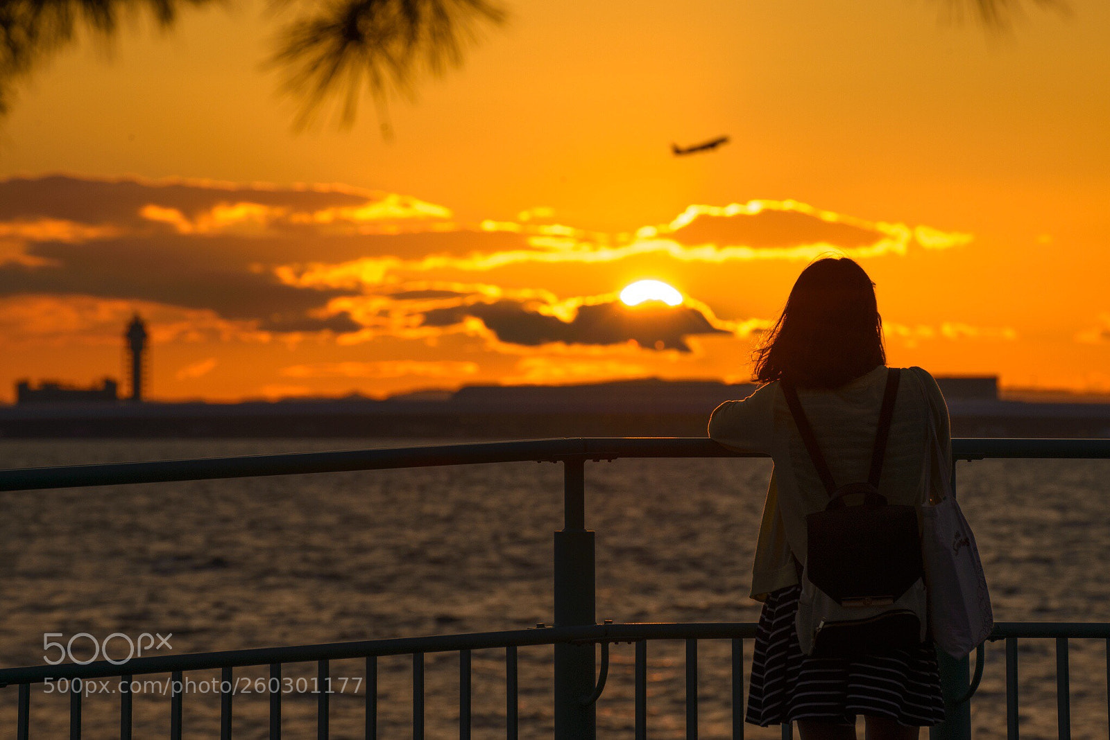 Nikon D610 sample photo. Affection photography