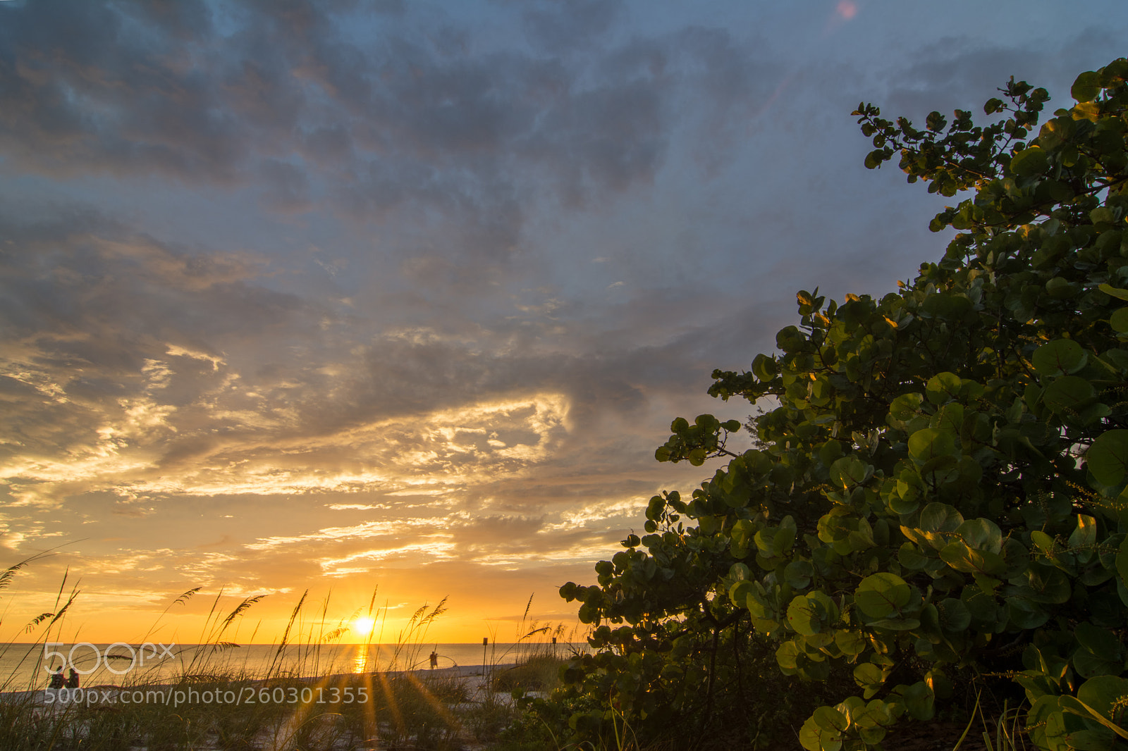 Nikon D7100 sample photo. Seagrape sunset photography