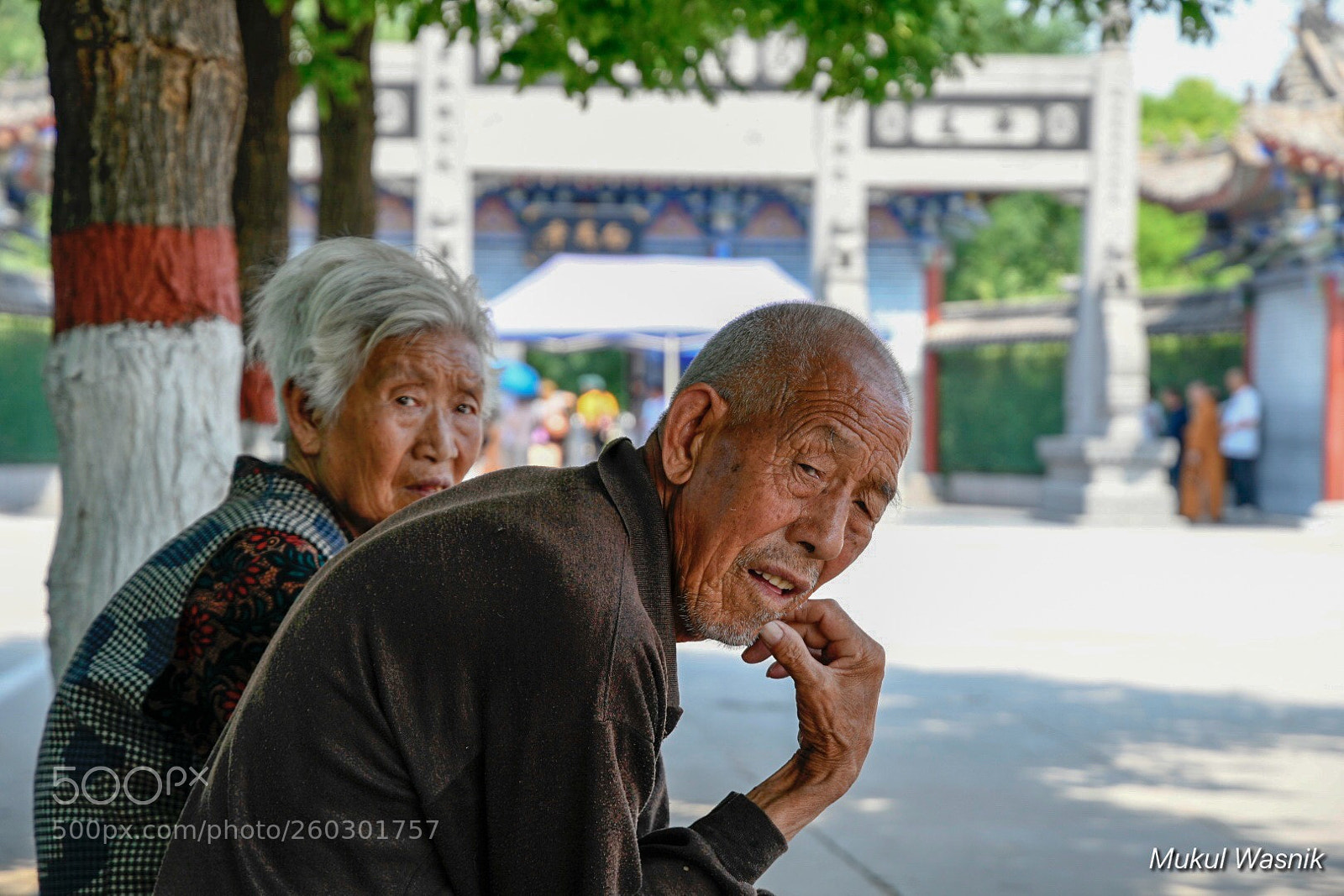 Nikon D850 sample photo. Lifetime and beyond  photography