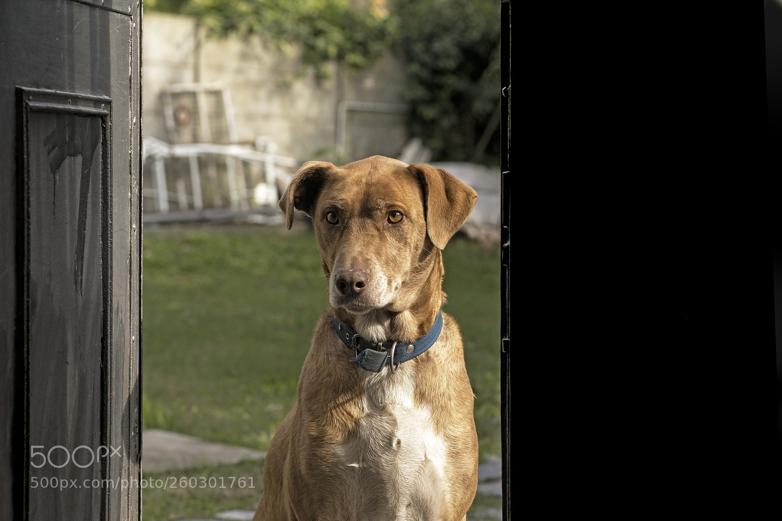Canon EOS 6D sample photo. ¿puedo pasar? photography