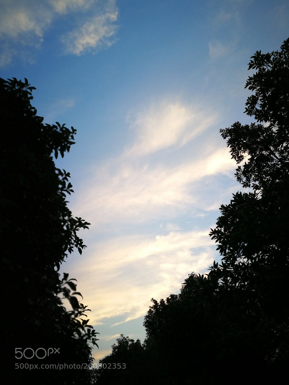 HUAWEI Mate 9 sample photo. Untitled photography