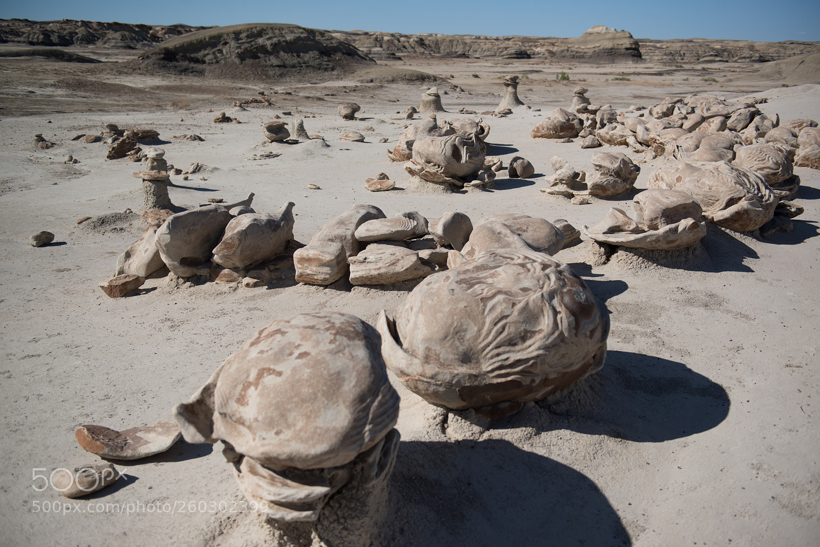 Nikon D800 sample photo. Not on earth photography