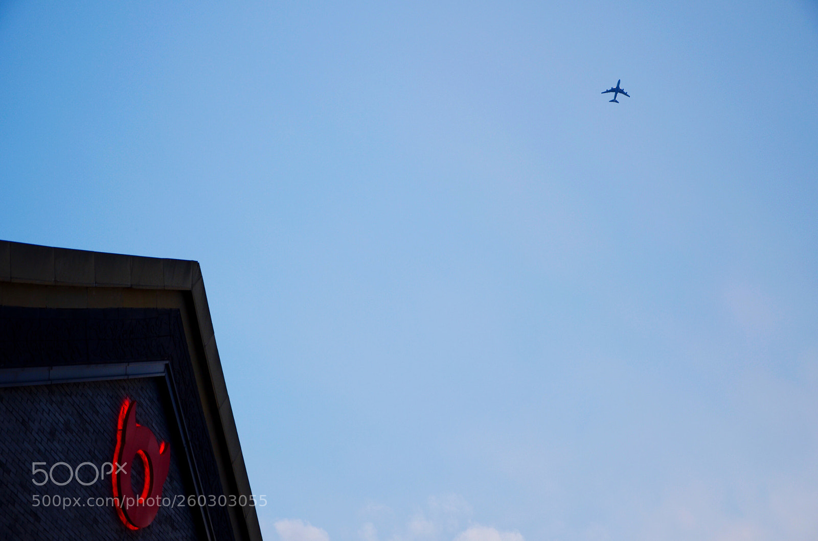 Nikon D7000 sample photo. Fly to the north photography