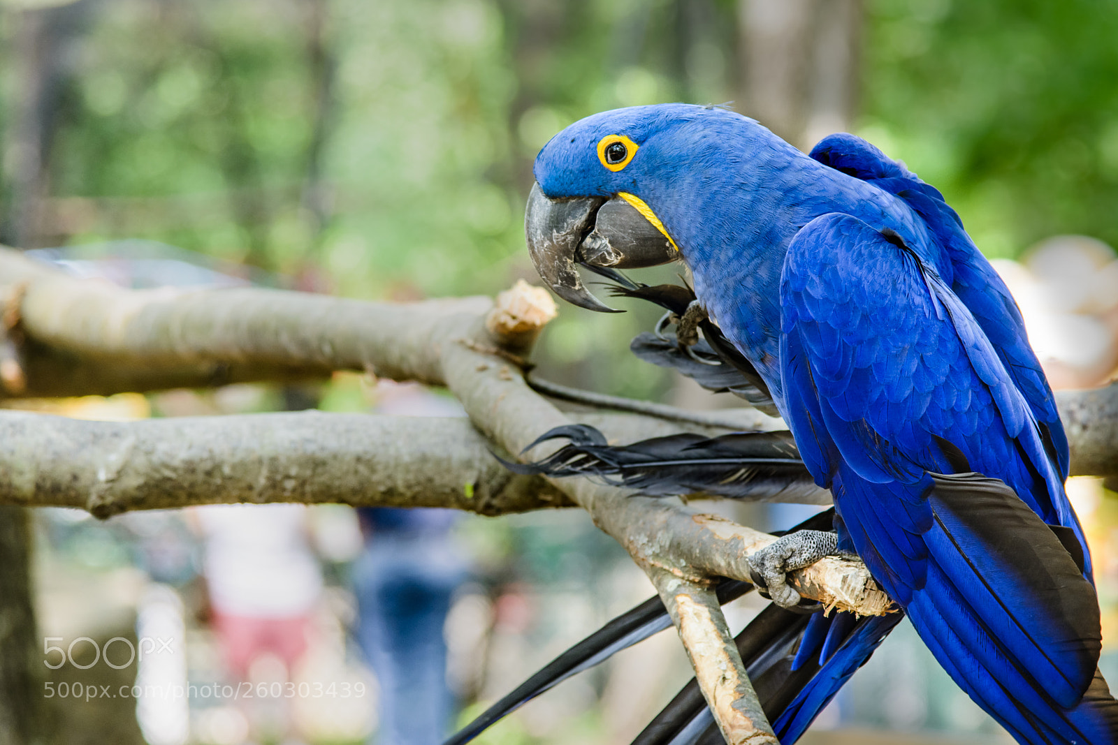 Nikon D7100 sample photo. Hi there photography