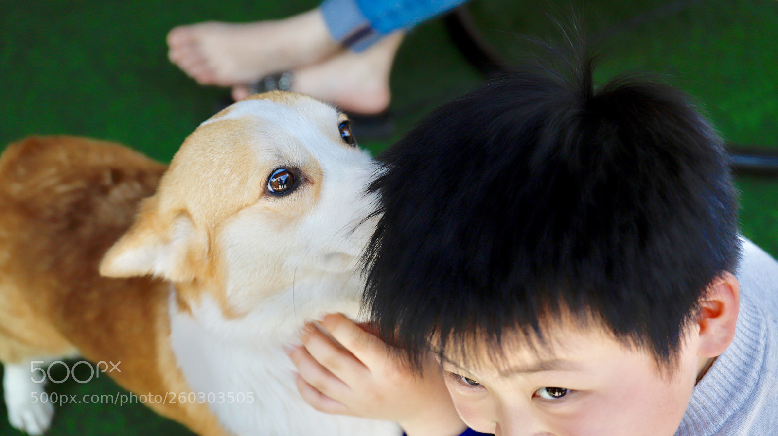 Canon EOS 6D Mark II sample photo. Untitled photography