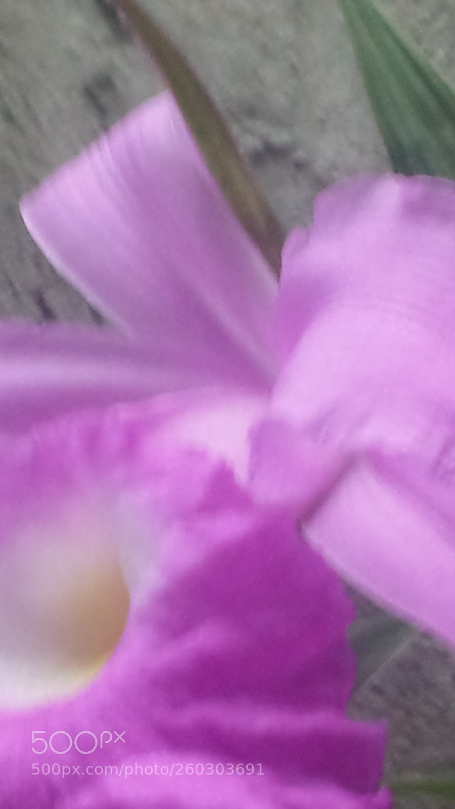 Samsung Galaxy S4 sample photo. Untitled photography
