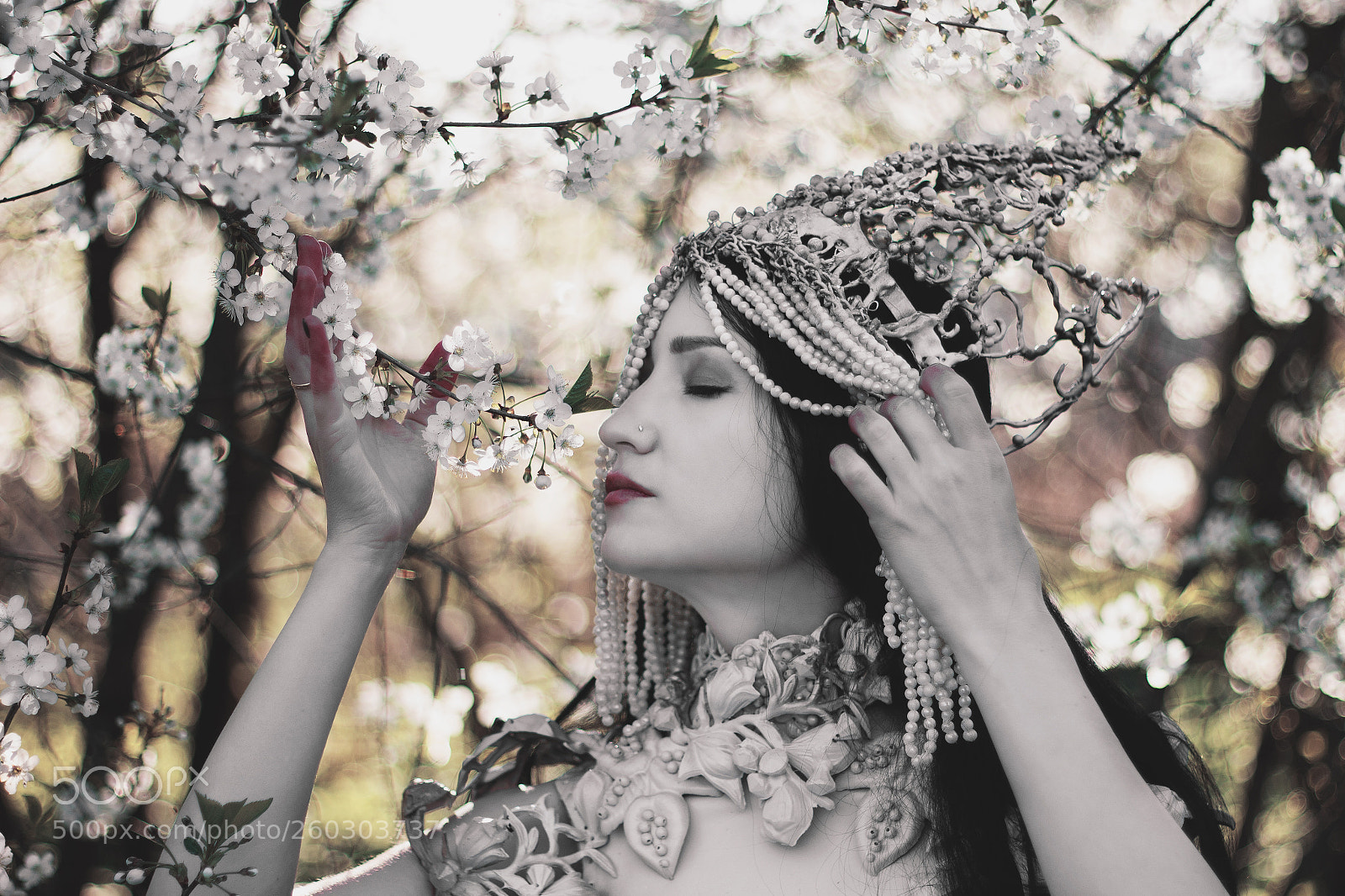 Canon EOS 650D (EOS Rebel T4i / EOS Kiss X6i) sample photo. White queen ii photography