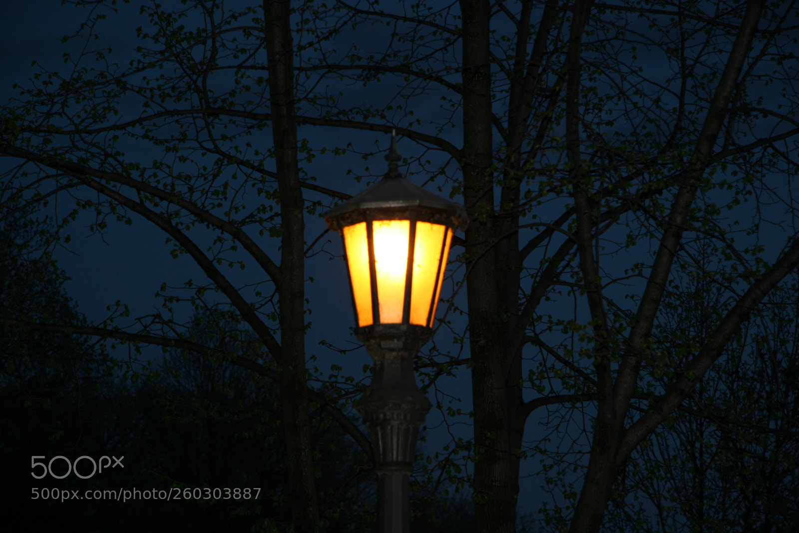 Canon EOS 20D sample photo. Lonely lamp photography