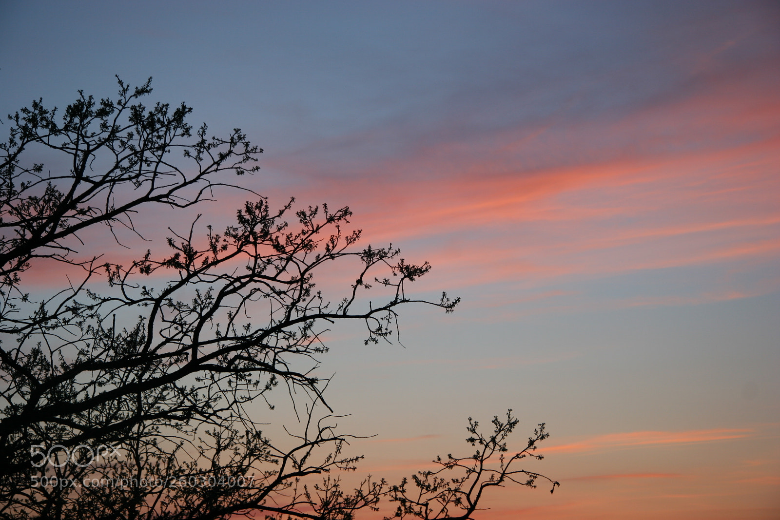 Canon EOS 20D sample photo. Pink and blue photography