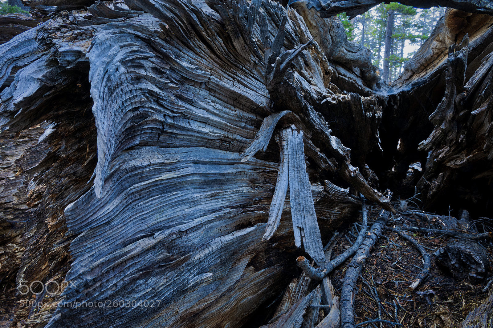 Canon EOS 5D Mark IV sample photo. Splintered wave photography