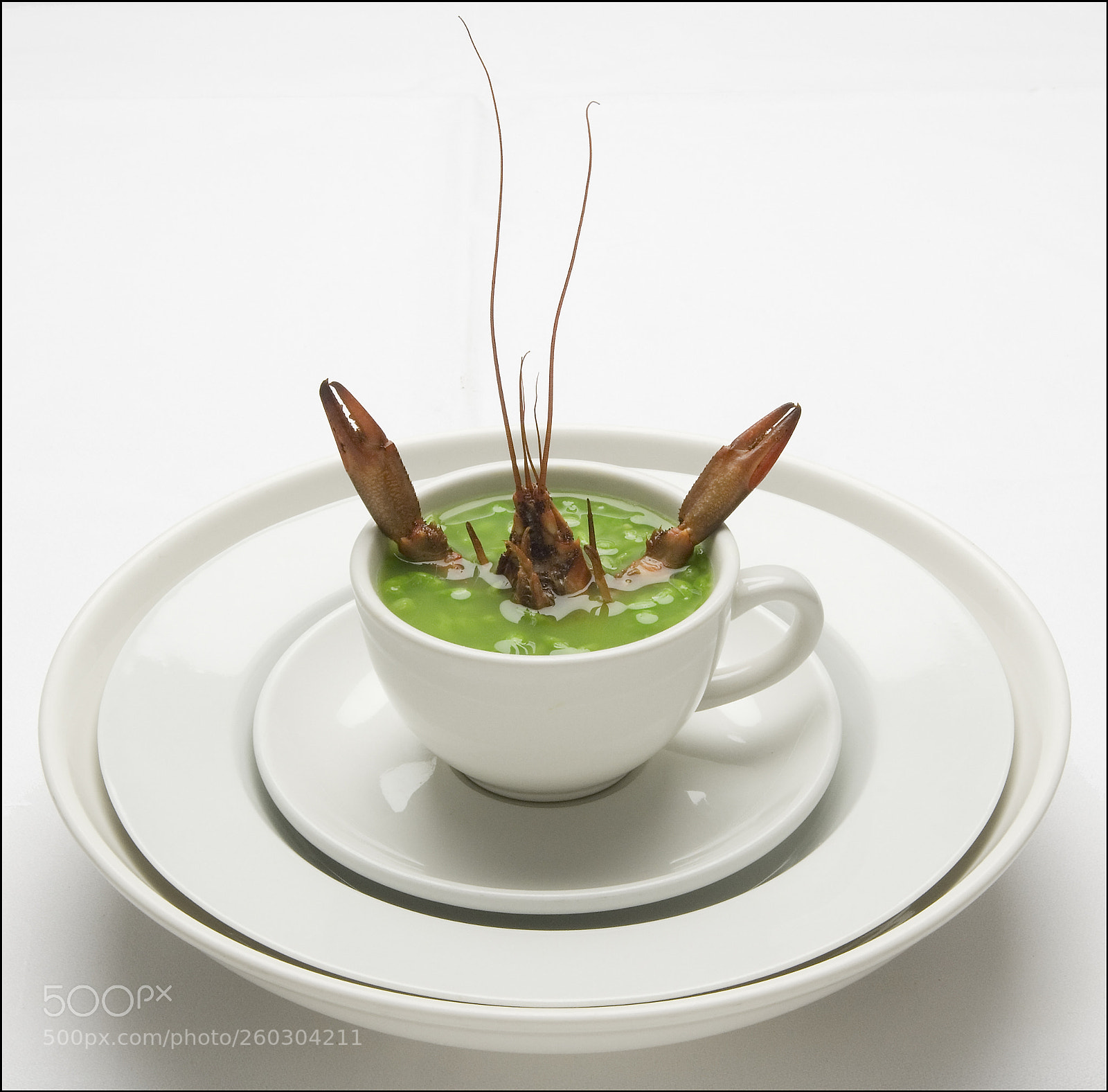 Nikon D200 sample photo. Crayfish in pea soup photography