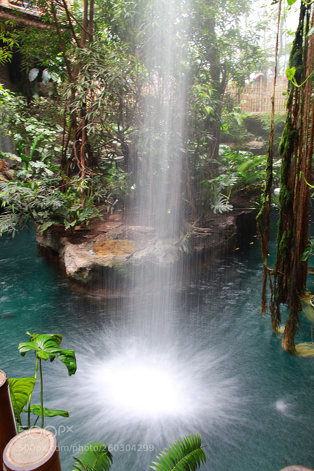 Canon EOS 700D (EOS Rebel T5i / EOS Kiss X7i) sample photo. The waterfall inside aquarium photography