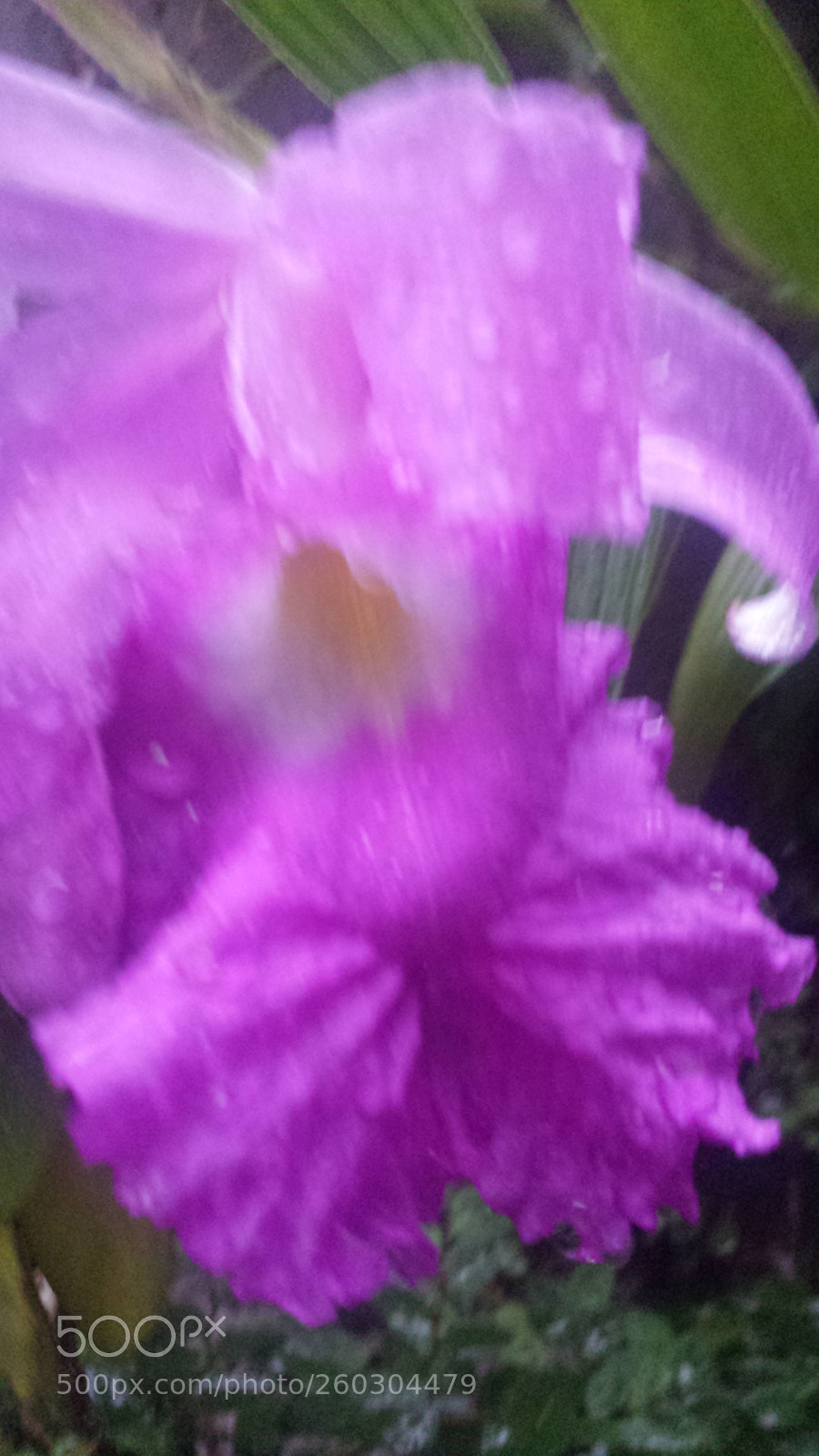 Samsung Galaxy S4 sample photo. Untitled photography