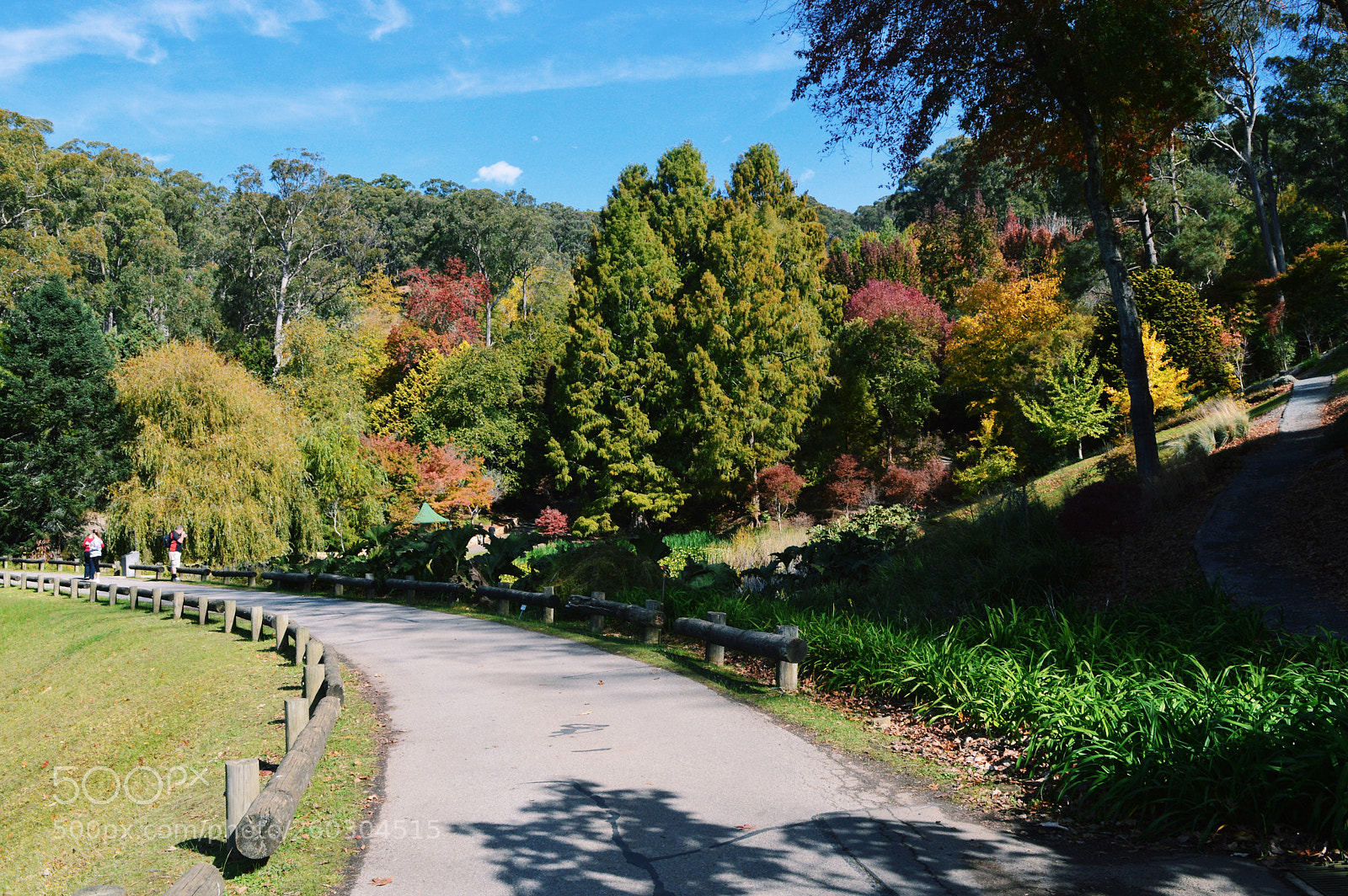 Nikon D3200 sample photo. Autumn photography