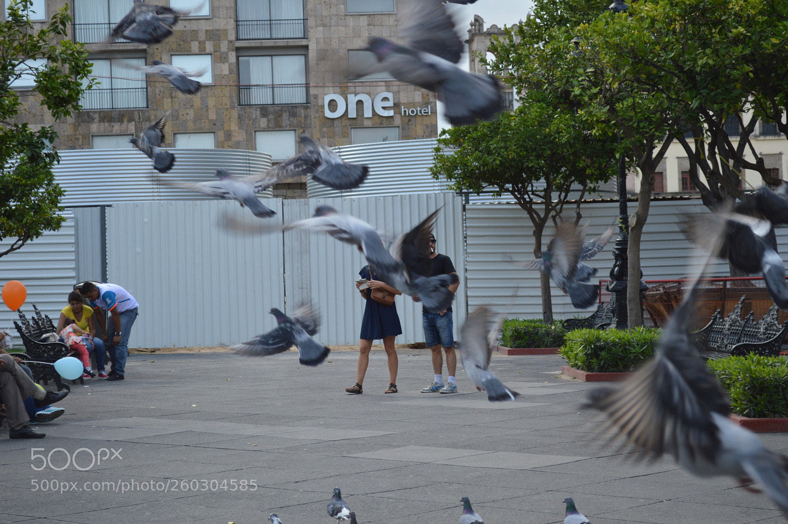 Nikon D3200 sample photo. Untitled photography