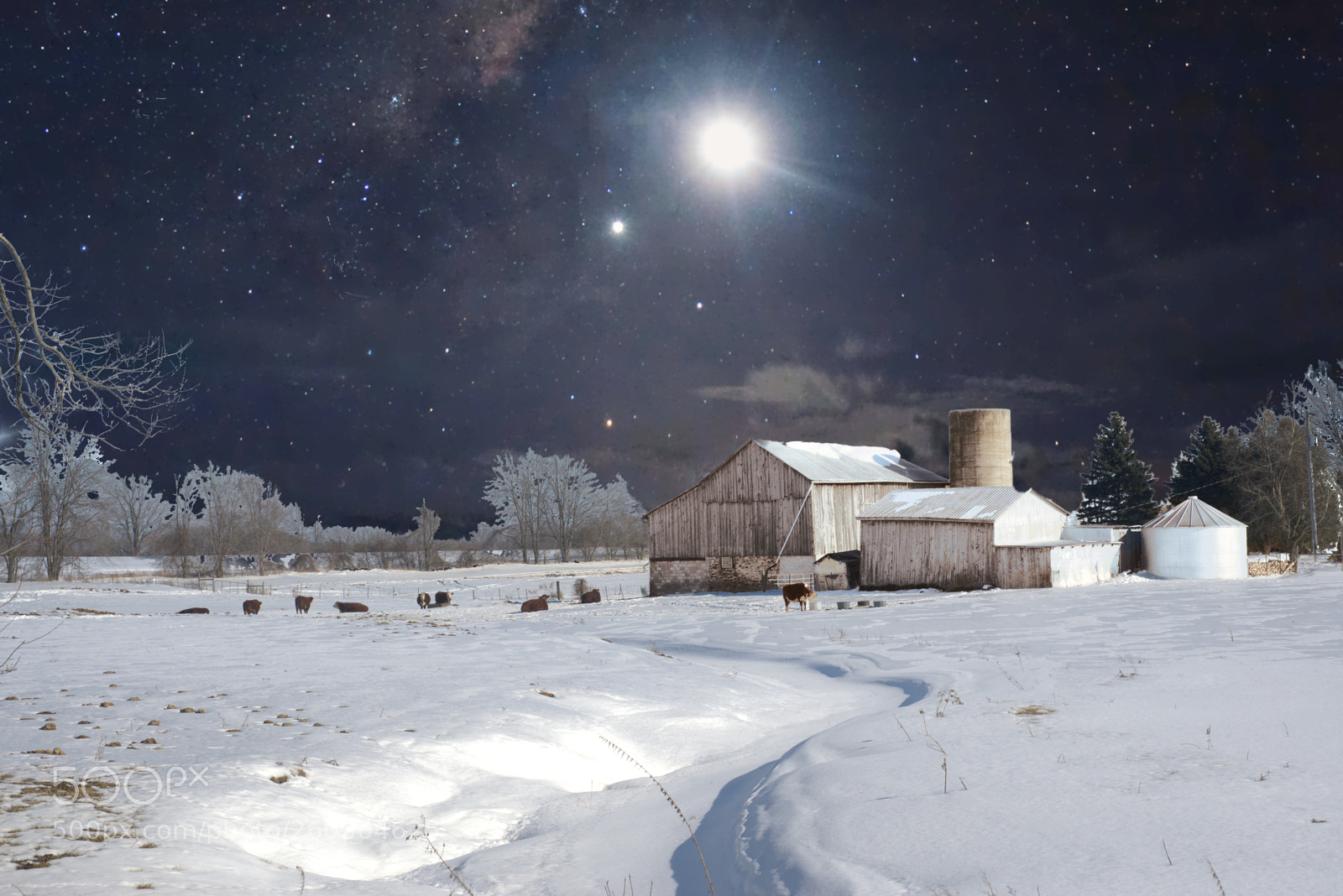 Nikon D600 sample photo. Christmas star photography