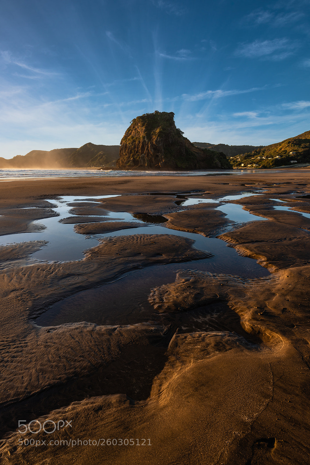 Nikon D610 sample photo. Lion rock, piha photography