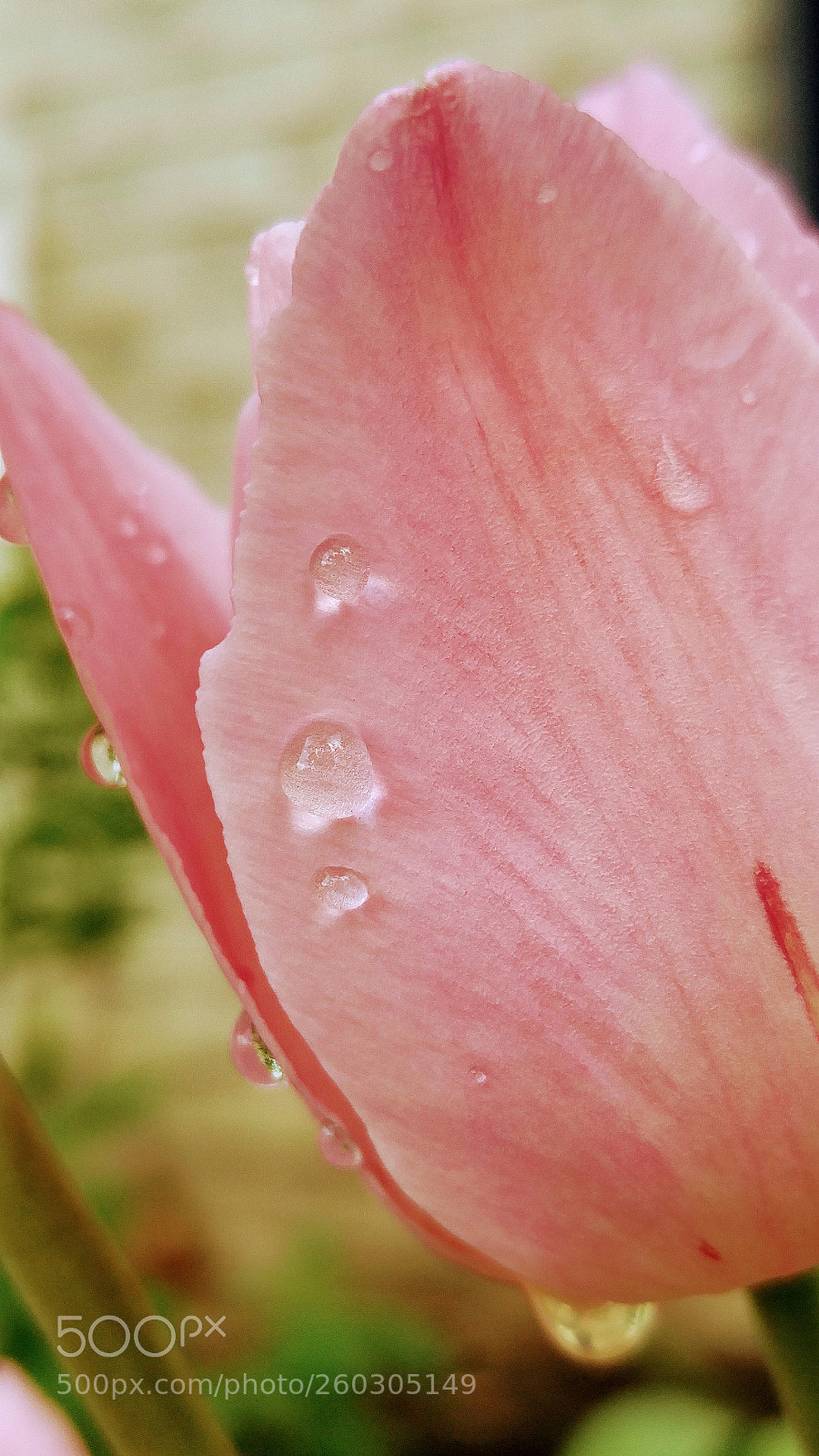 LG G4 sample photo. Hdr photography