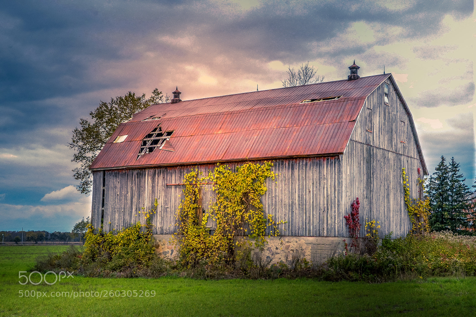 Nikon D600 sample photo. Rustic photography