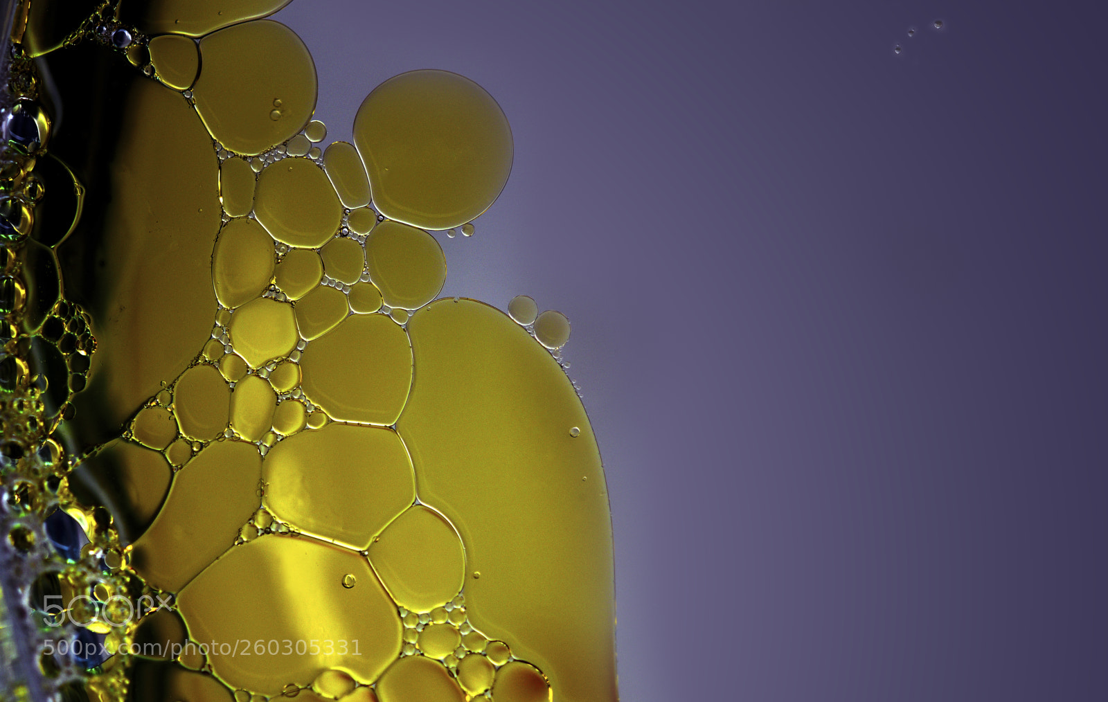 Nikon D750 sample photo. Bubbles-02 photography