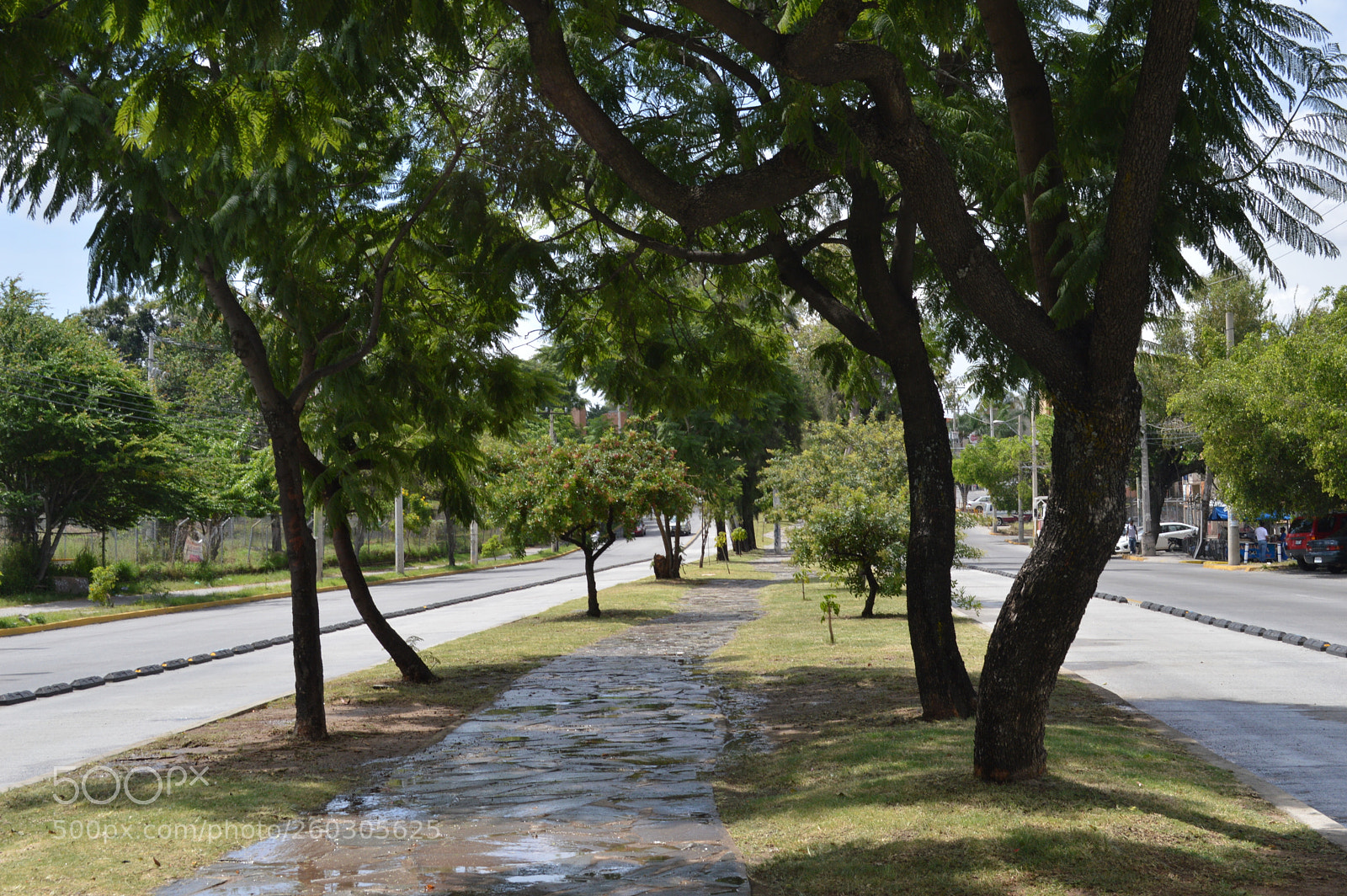 Nikon D3200 sample photo. El camino photography