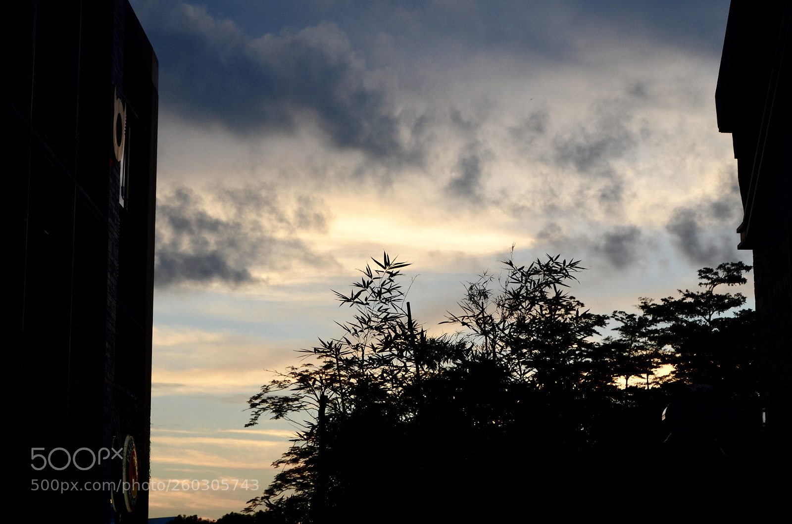 Nikon D7000 sample photo. Untitled photography