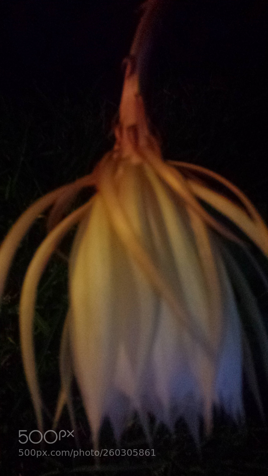 Samsung Galaxy S4 sample photo. Untitled photography