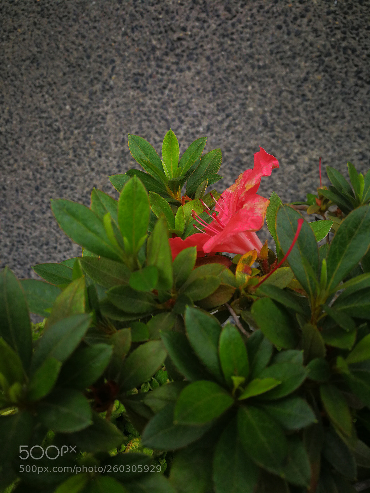 HUAWEI Mate 9 sample photo. El encuentro photography