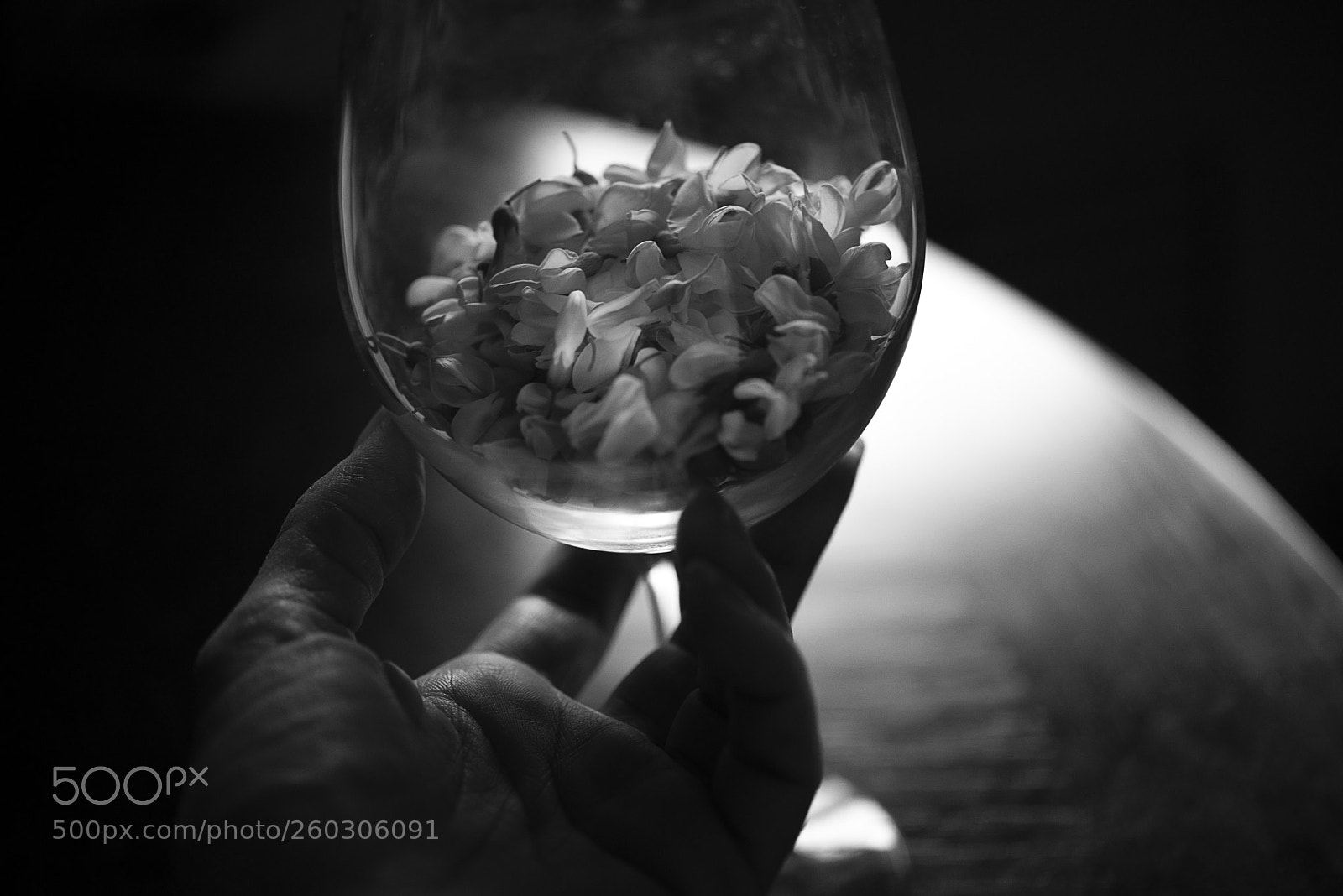 Nikon D610 sample photo. Nature's gifts photography