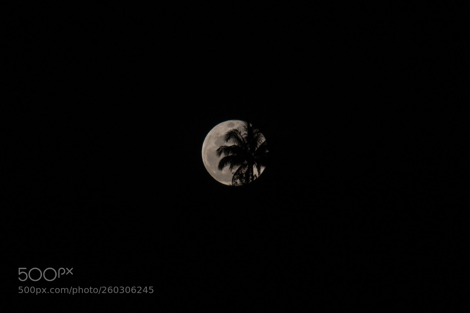 Canon EOS 70D sample photo. Moon photography